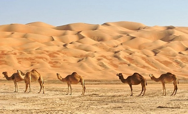 Arabian Desert - The second hottest desert in the world