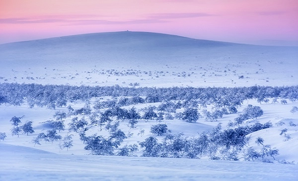 Arctic Desert - Top 20 biggest deserts in the world
