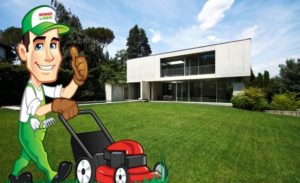 best mulching lawn mower