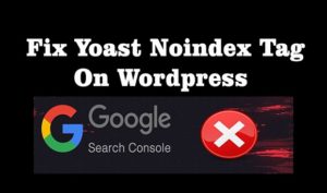 fix yoast noindex tag on wordpress